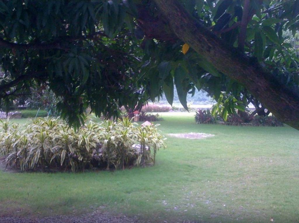 Dewdrop Mango Bloom Resort Jim Corbett National Park Kamer foto